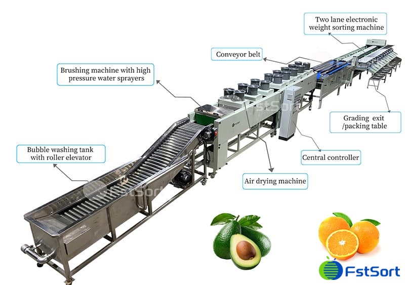 images/1662366824026avocado sorting machine.jpg